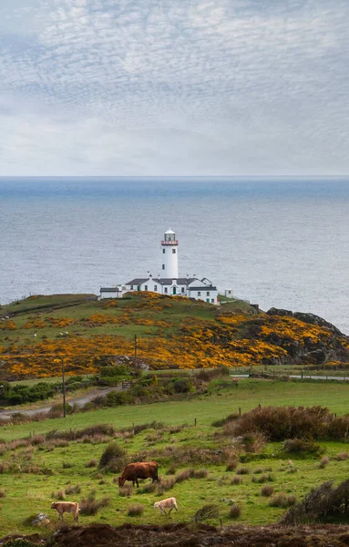 Fanad Head Lighthouse Donegal Ireland — Stock Photo, Image