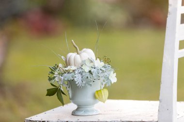 Beyaz bir sandalyede vazoda beyaz bir balkabağı ile sonbahar kompozisyonu. Doğal arka planda yakın plan.