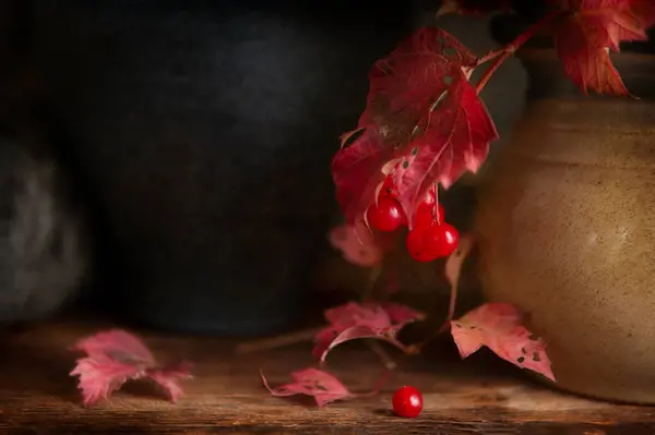 Kırmızı Viburnum Sonbahar Dalları Böğürtlenlerle Dolu Bir Hayat — Stok fotoğraf