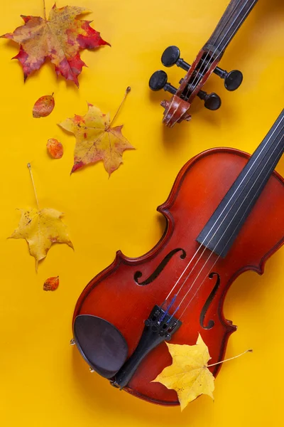 Two Old Violins Yellow Autumn Maple Leaves Background Top View — Stock Photo, Image