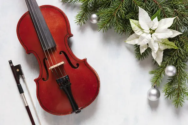 Old Violin Fir Tree Branches Christmas Decor White Poinsettia Christmas — Stock Photo, Image