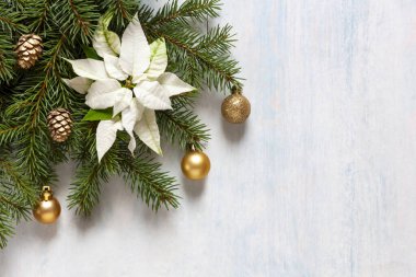 Christmas decor with fir-tree branches, white poinsettia, golden colored Christmas balls and cones on the light blue background. Top view, close up, flat lay clipart