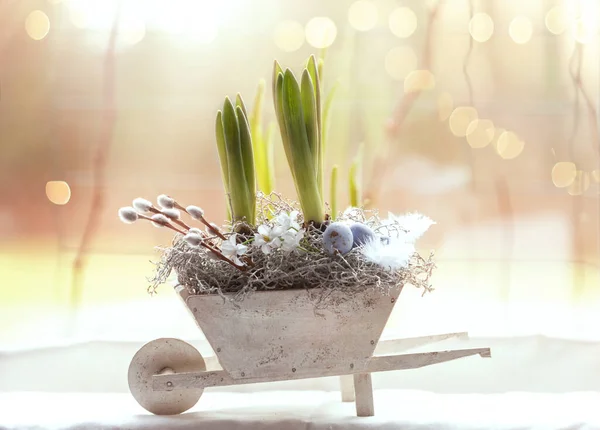 Zöld Tavaszi Nárciszok Virágzásra Fűzfaágakra Húsvéti Tojásokra Készülő Csészében Stock Kép
