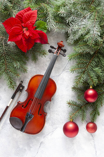 Old Violin Fir Tree Branches Christmas Decor Poinsettia Christmas New Royalty Free Stock Images