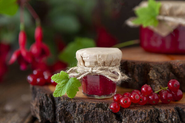 Traditional Homemade Cumberland Sauce Made Fresh Red Currants Stock Image