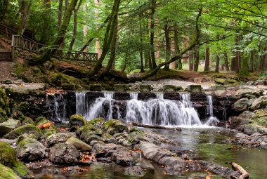 Hızlı akan nehir ve doğal bir parktaki kayalık bir nehir yatağında akıntılar. Sonbahar başları.