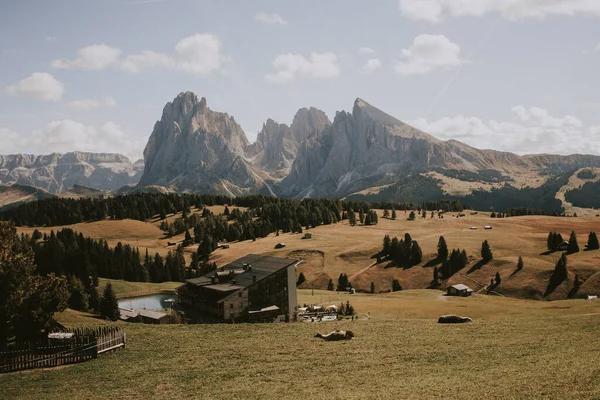 Alpe di Siusi, Güney Tyrol, İtalya 'da yaz yürüyüşü. 