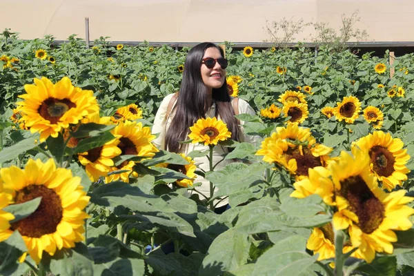 Latin adult woman with sunglasses walks through a field of sunflowers forgets her problems full of happiness in fullness, with tranquility, relaxation, calm, peace and splendor