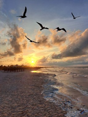 Sunset or sunrise at Sisal beach in Yucatan Mexico with seagulls flying over the sea in backlight with the sun on the horizon representing tranquility, calm, peace and serenity