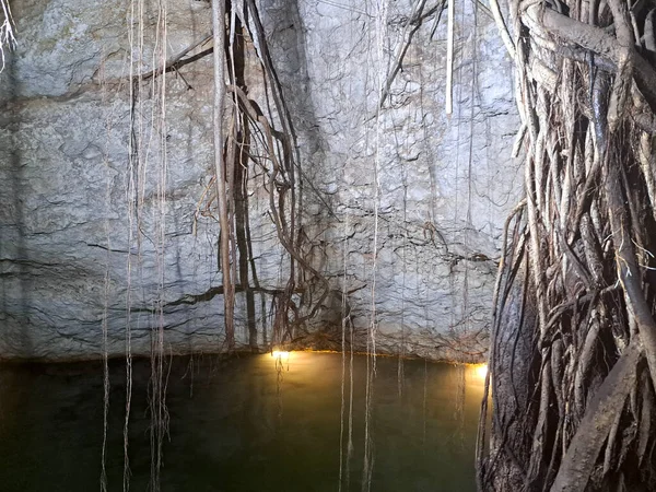 メキシコのユカタンの中央部は深い自然の井戸で 石灰岩型の堆積岩が雨水に浸透し 大きな洞窟や貯水池を形成する自然現象です — ストック写真