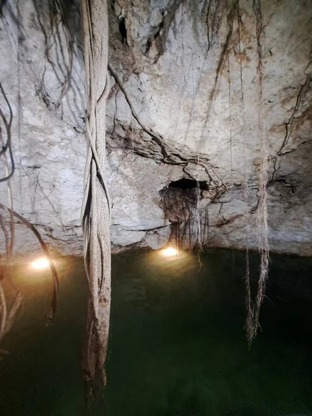 Los Cenotes Yucatán México Son Pozos Naturales Profundos Fenómeno Natural — Foto de Stock