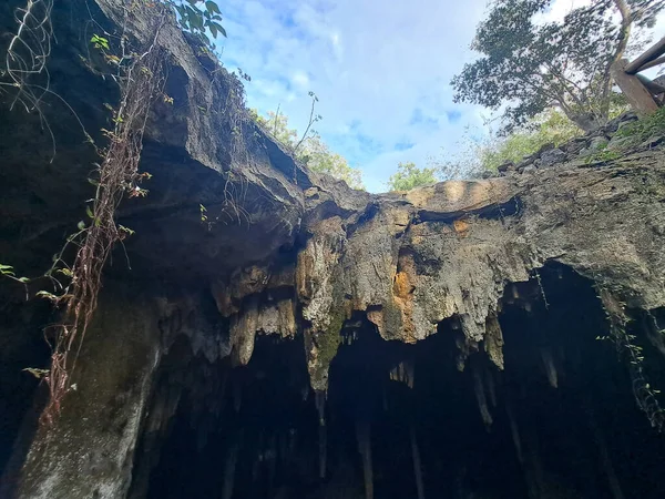 Los Cenotes Yucatán México Son Pozos Naturales Profundos Fenómeno Natural —  Fotos de Stock