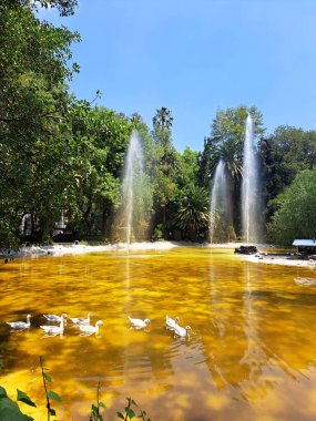 Mexico City, Mexico - Apr 24 2023: The Condesa neighborhood is gentrifying, many foreigners with high purchasing power came to stay in the Mexican capital and now everything is in English clipart