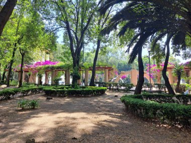 Mexico City, Mexico - 24 Nisan 2023: Condesa mahallesi seçkinleşiyor, yüksek satın alma gücü olan birçok yabancı Meksika başkentinde kalmaya geldi ve şimdi her şey İngilizce.