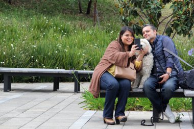 Birkaç İspanyol adam ve kadın parkta bir bankta oturup beyaz tüylü köpeklerine bakıyorlar ve aile olarak cep telefonlarıyla selfie çekiyorlar.