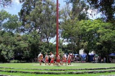 Mexico City, Mexico - 2 Ağustos 2023 Voladores de Papantla 'nın ritüel töreni Veracruz' da gerçekleştirilen verimlilikle ilgili bir danstır.