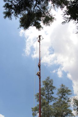 Mexico City, Mexico - 2 Ağustos 2023 Voladores de Papantla 'nın ritüel töreni Veracruz' da gerçekleştirilen verimlilikle ilgili bir danstır.