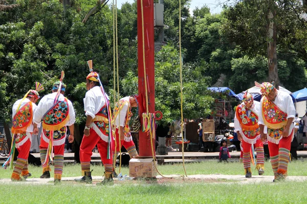 メキシコのメキシコシティ 2023年8月2日 ヴォラド パパントラの儀式の儀式は 彼らがヴェラクルスで行う不妊に関連するダンスです — ストック写真