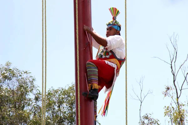 Ciudad México México Agosto 2023 Ceremonia Ritual Los Voladores Papantla — Foto de Stock
