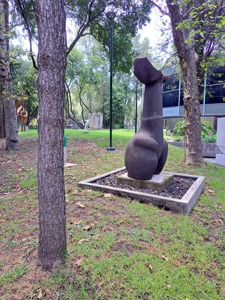 Cidade México México Agosto 2023 Sculptures Modern Art Museum Mam — Fotografia de Stock