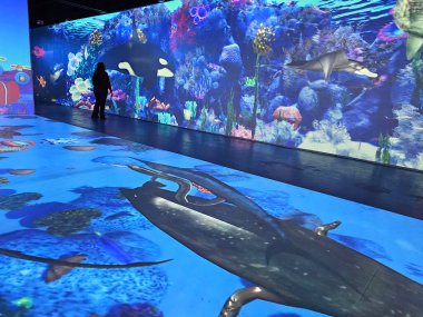 Mexico City, Mexico - 28 Şubat 2024: Barco Utopia in Iztapalapa, Interactive Sanal Akvaryumu olan kültürel, eğitici ve eğlence amaçlı bir kompleks.