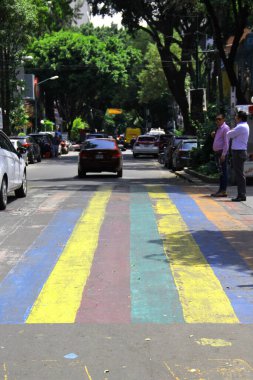 Mexico City, Mexico - 12 Haziran 2024: CDMX 'in Zona Rosa' sında gey bayrağının renkleriyle yaya geçidi, LGBTQ + topluluğunun buluşma yeri