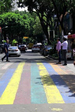 Mexico City, Mexico - 12 Haziran 2024: CDMX 'in Zona Rosa' sında gey bayrağının renkleriyle yaya geçidi, LGBTQ + topluluğunun buluşma yeri