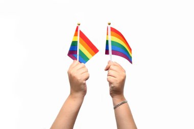 Eller LGBTQ +, gay, gökkuşağı, gurur ve çeşitlilik bayrağını gösterir, ayrımcılık ve zulme uğramış hareketlerin, cinsel yönelimlerin ve cinsiyet kimliklerinin çok renkli bir sembolüdür.