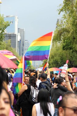 Mexico City, Mexico - 29 Haziran 2024: LGBT + Pride March, Reforma Bulvarı 'nda her yıl gerçekleşen bir festival gösterisidir.
