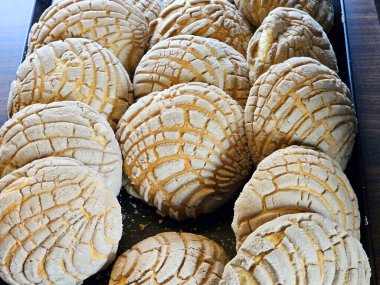 Lezzetli Meksika Concha tatlı ekmeği fırın tepsilerinde satılık taze pişmiş taze ve tüylü