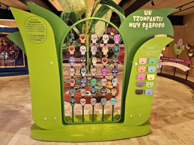 Mexico City, Mexico - 7 Şubat 2024: Cencalli Müzesi Mısır ve Gıda Kültürü Evi Meksika 'nın yerli kültürlerine ve Los Pinos Kültür Kompleksinin yemek kısmına adanmıştır.