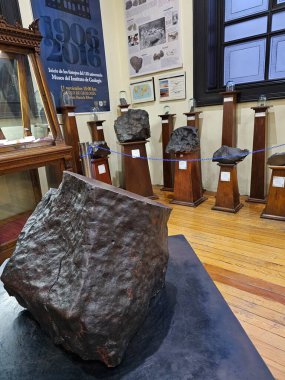 Mexico City, Meksika - 31 Ocak 2024: CDMX 'teki UNAM Jeoloji Müzesi Paleontoloji, Mineraller, Kayalar ve Meteoritlerin koleksiyonları
