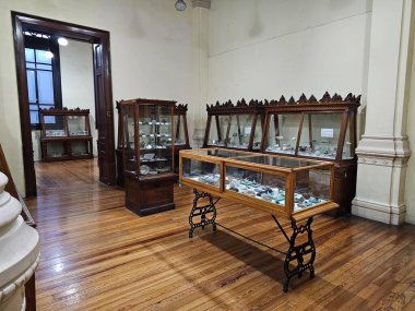 Mexico City, Meksika - 31 Ocak 2024: CDMX 'teki UNAM Jeoloji Müzesi Paleontoloji, Mineraller, Kayalar ve Meteoritlerin koleksiyonları