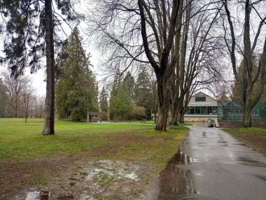 Stanley Park Vancouver 'ın en büyük şehir parkı. Manzaralı su, dağlar, gökyüzü ve ünlü Seawall boyunca uzanan ağaçlar.