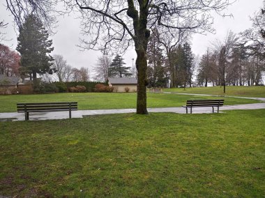 Stanley Park Vancouver 'ın en büyük şehir parkı. Manzaralı su, dağlar, gökyüzü ve ünlü Seawall boyunca uzanan ağaçlar.