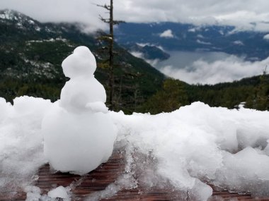 Soğuk dalgalar, düşük sıcaklıklar ve dondurucu soğuklar sırasında karlı bir dağın tepesinden göle bakan ördek şekilli kardan adam.