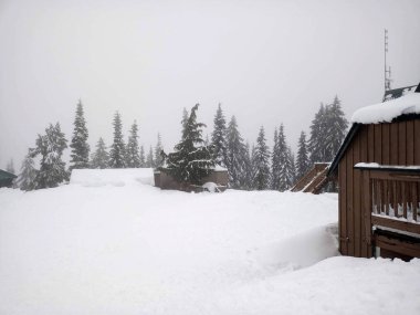Karlı dağ manzarası. Çam ağaçları ve kulübelerle kaplı. Duvar kağıtları için soğuk cephe.