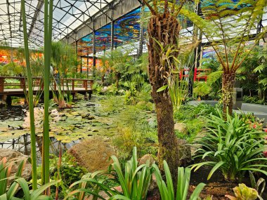 Toluca, Meksika Eyaleti, Meksika - 8 Ocak 2025: Meksika Eyaletinin Toluca şehrinin merkezinde bulunan Cosmovitral Botanik Bahçesi