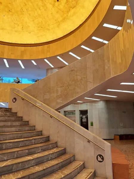 Mexico City, Mexico - 2 Ağustos 2023: Meksika görsel sanatların önemli bir koleksiyonuna ev sahipliği yapan CDMX Modern Sanatlar Müzesi