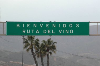 Ensenada, Baja California, Meksika - 17 Aralık 2025: Valle de Guadalupe, Ensenada, Baja California, Meksika 'da bulunan şarap yetiştirme bölgesi olan Şarap Yolu' nu kapsayan vadilerden biridir.