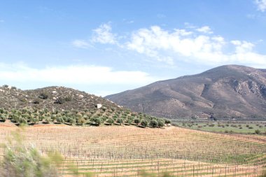 Ensenada, Baja California, Meksika - 17 Aralık 2025: Valle de Guadalupe, Ensenada, Baja California, Meksika 'da bulunan şarap yetiştirme bölgesi olan Şarap Yolu' nu kapsayan vadilerden biridir.