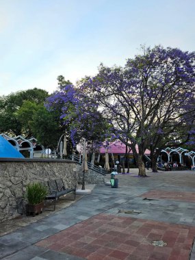 Mexico City, Mexico - 26 Mart 2025: Chapultepec Ormanı 'ndaki Doğal Tarih ve Çevre Kültürü Müzesi, biyolojik çeşitlilik ve korunmayı gösteren CDMX' in simgesidir.