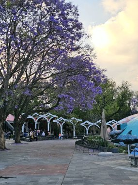 Mexico City, Mexico - 26 Mart 2025: Chapultepec Ormanı 'ndaki Doğal Tarih ve Çevre Kültürü Müzesi, biyolojik çeşitlilik ve korunmayı gösteren CDMX' in simgesidir.