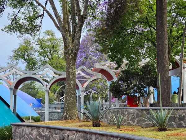 Mexico City, Mexico - 26 Mart 2025: Chapultepec Ormanı 'ndaki Doğal Tarih ve Çevre Kültürü Müzesi, biyolojik çeşitlilik ve korunmayı gösteren CDMX' in simgesidir.