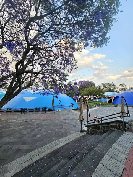 Mexico City, Mexico - 26 Mart 2025: Chapultepec Ormanı 'ndaki Doğal Tarih ve Çevre Kültürü Müzesi, biyolojik çeşitlilik ve korunmayı gösteren CDMX' in simgesidir.