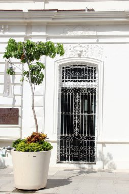 Merida, Yucatan, Meksika 'nın kaldırım taşı caddelerindeki evlerin kapı ve pencereleri..