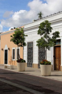 Merida, Yucatan, Meksika 'nın kaldırım taşı caddelerindeki evlerin kapı ve pencereleri..