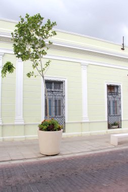 Merida, Yucatan, Meksika 'nın kaldırım taşı caddelerindeki evlerin kapı ve pencereleri..