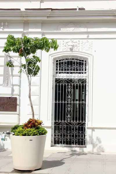 Merida, Yucatan, Meksika 'nın kaldırım taşı caddelerindeki evlerin kapı ve pencereleri..