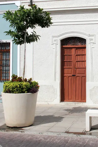 Merida, Yucatan, Meksika 'nın kaldırım taşı caddelerindeki evlerin kapı ve pencereleri..